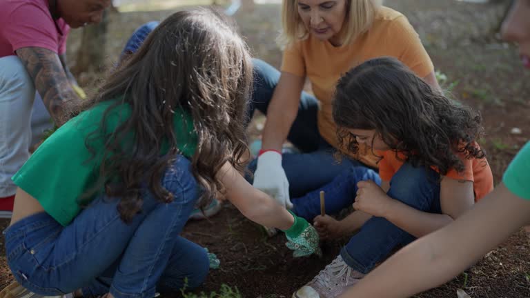 Best Tree Planting  in USA